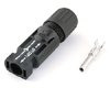 Stäubli Kupplungsstecker MC4 4 oder 6 mm² PV-KST4/6II