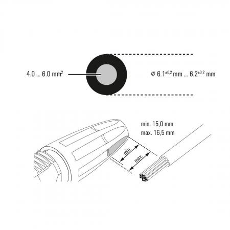 MC4-kompatibler Steckverbinder, Buchse positiv, Push-In 4-6 mm² Weidmüller PV-STICK+ VPE10 